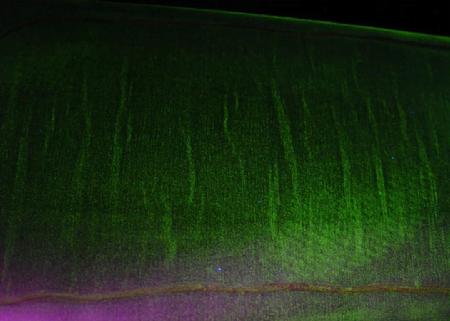 微信圖片_20241104150515