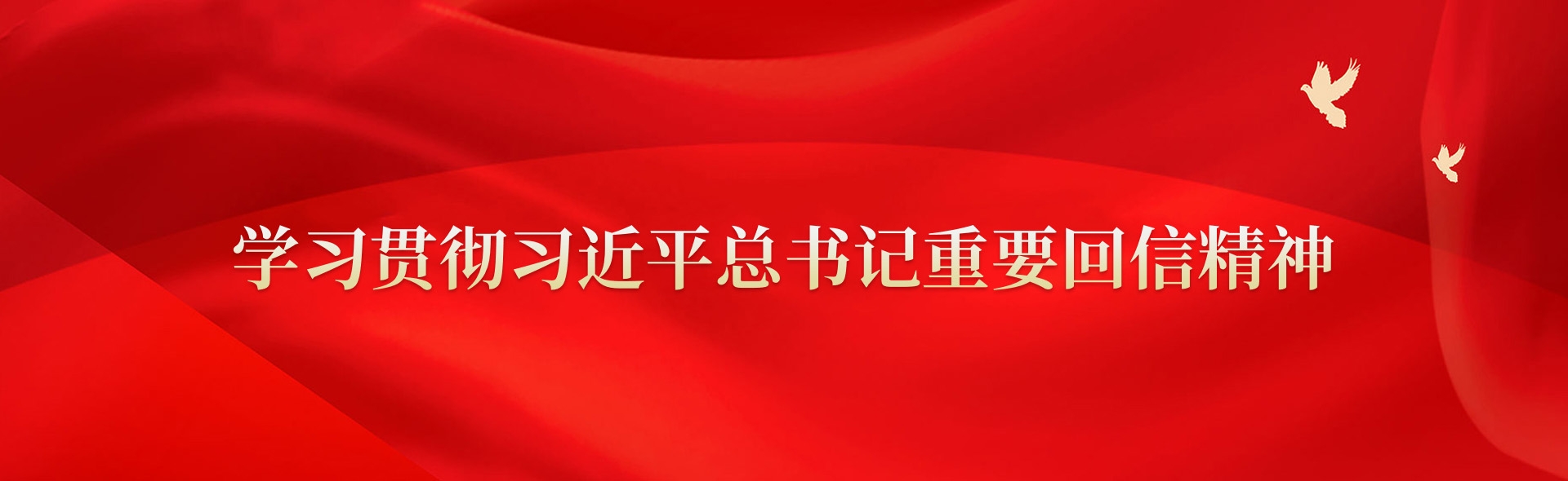 學(xué)習(xí)貫徹習(xí)近平總書(shū)記重要回信精神